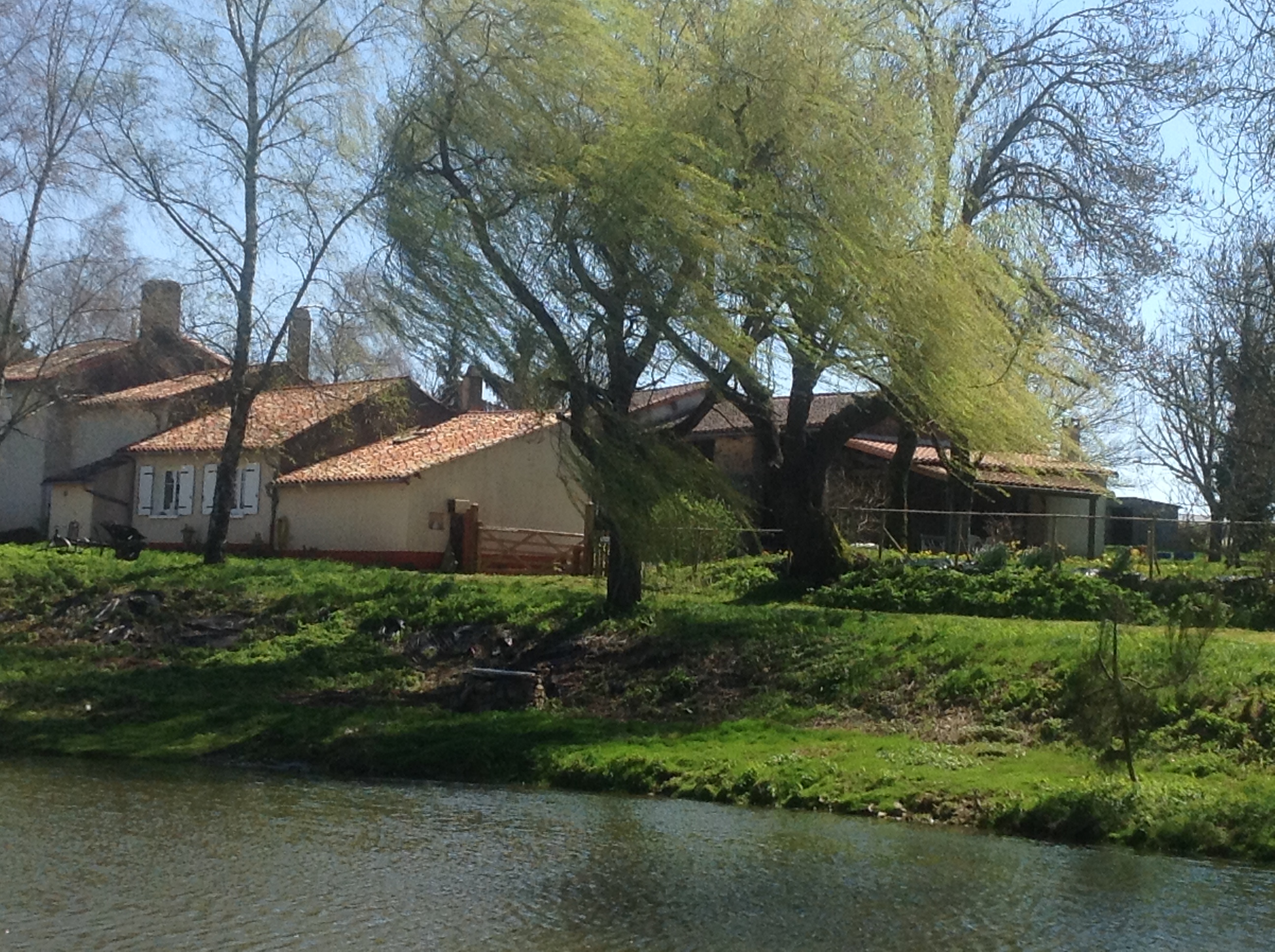 Le Four à Pain, Fenioux - photo 10