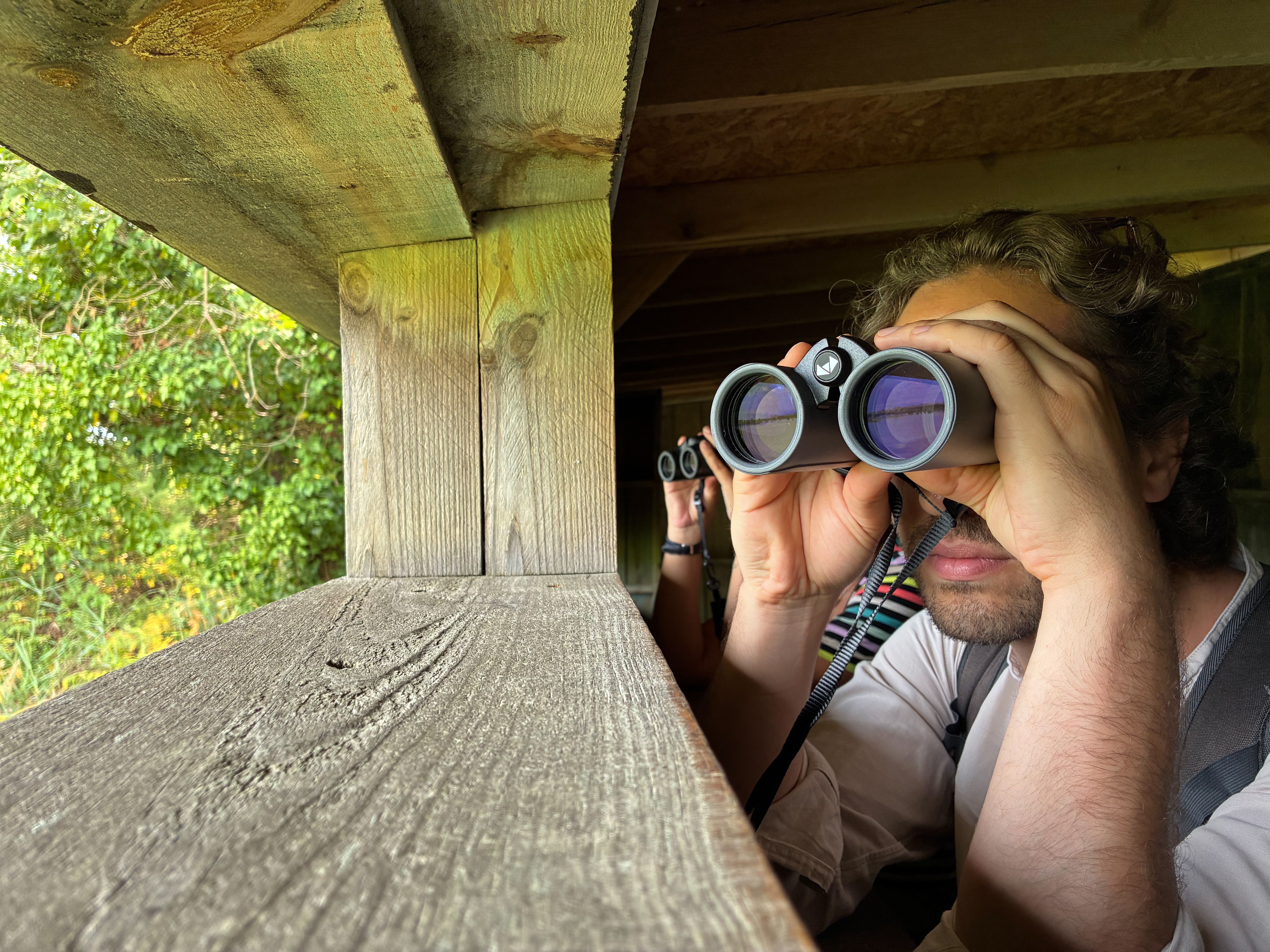 Visite guidée de la Réserve ornithologique du Teich en anglais