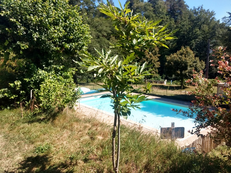 Aire Naturelle Le Moulin de Lacombe, Saint-Geniez-ô-Merle - photo 45