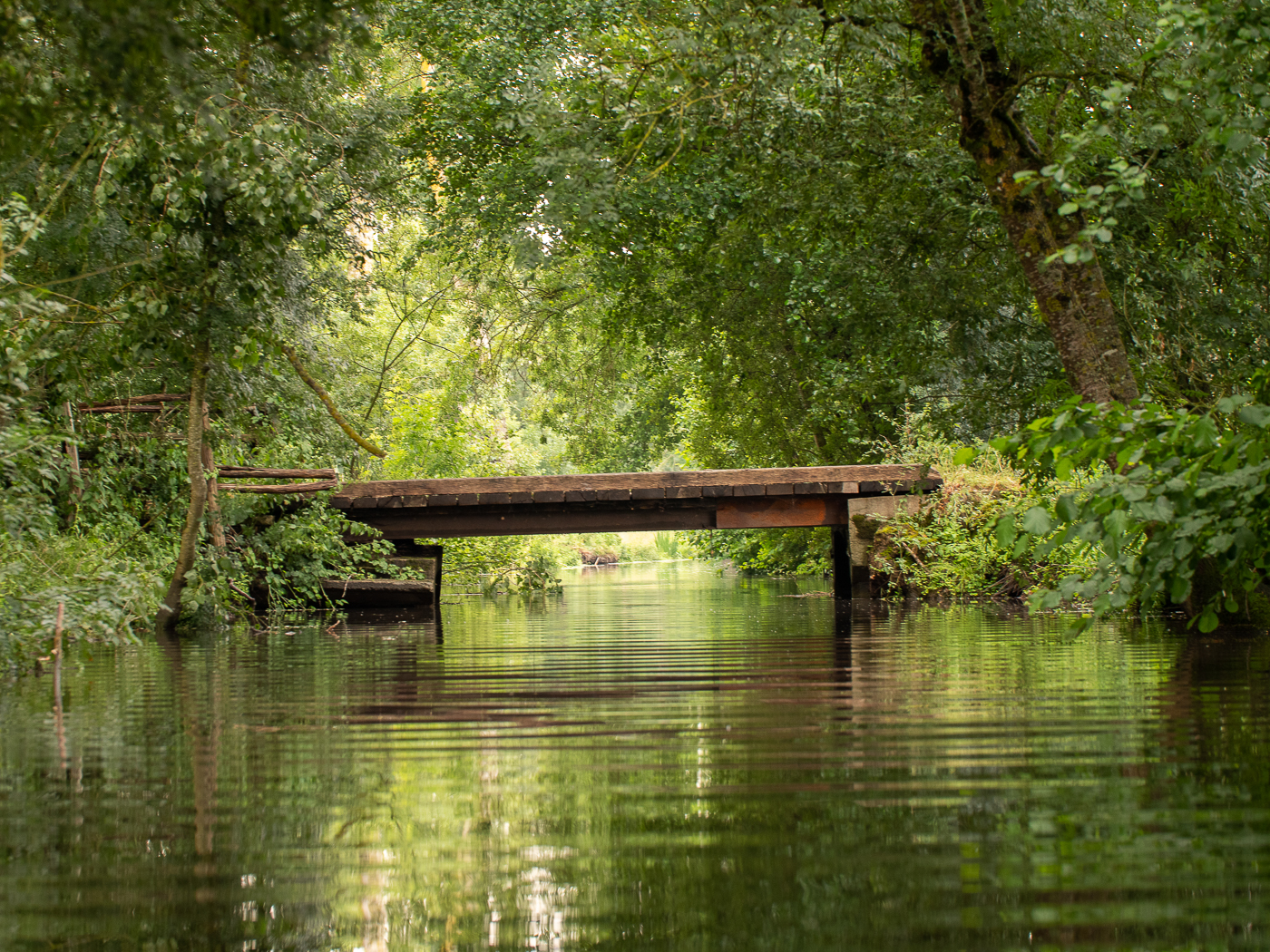 Excursion familiale en canoë kayak dans le marais du Vanneau par Romain Gaillard, Le Vanneau-Irleau - photo 2