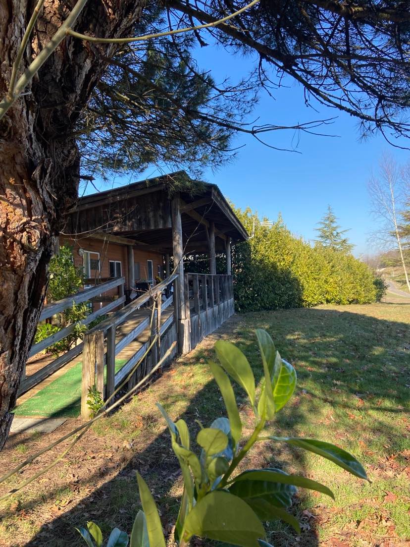 Domaine de Brissonneau : Les Prunus