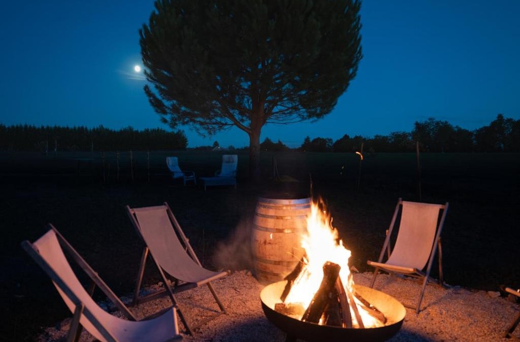 Domaine de la Couvée - Les Pins, Calès - photo 14