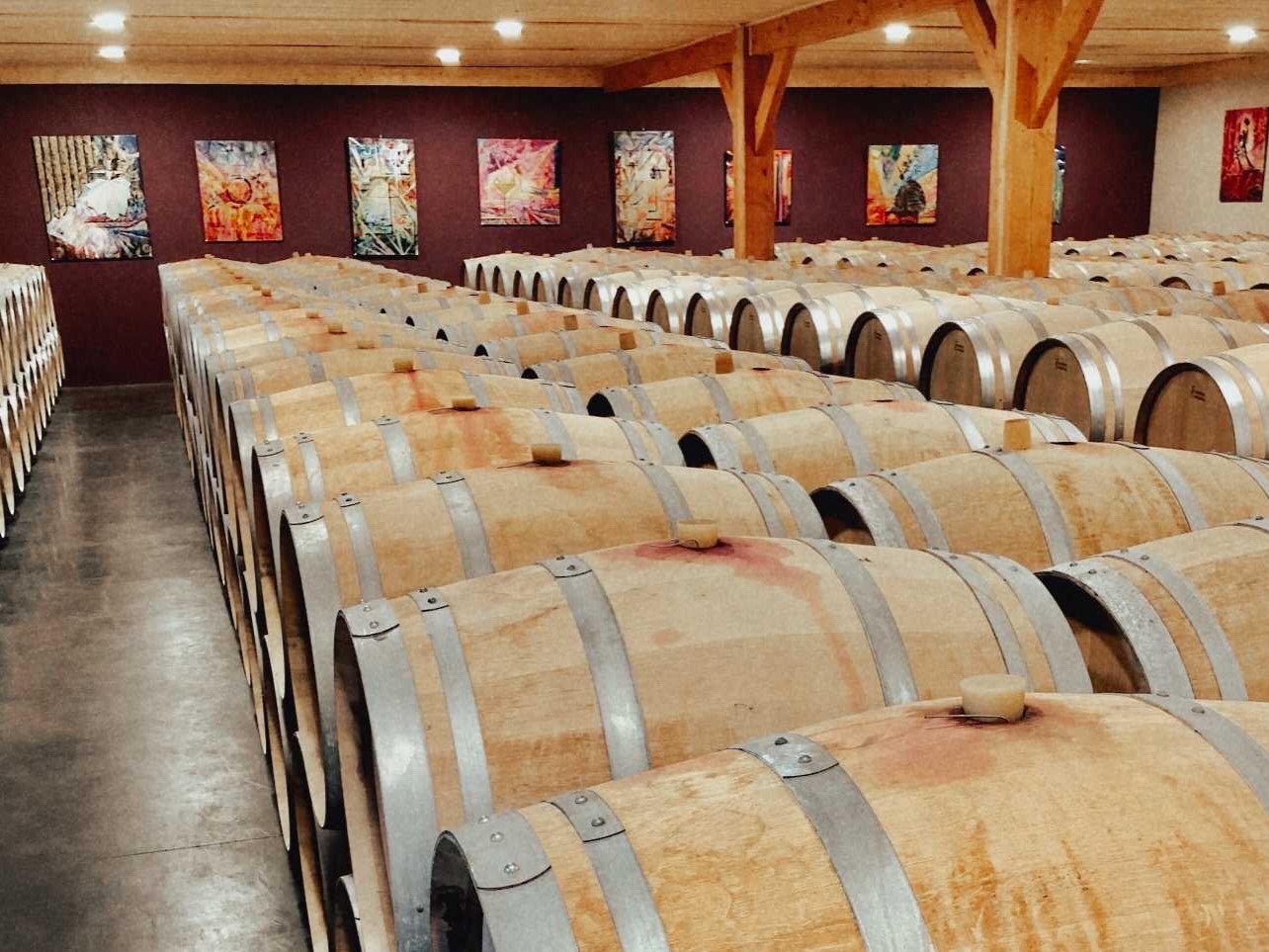 Château Saint-Hilaire - photo 4