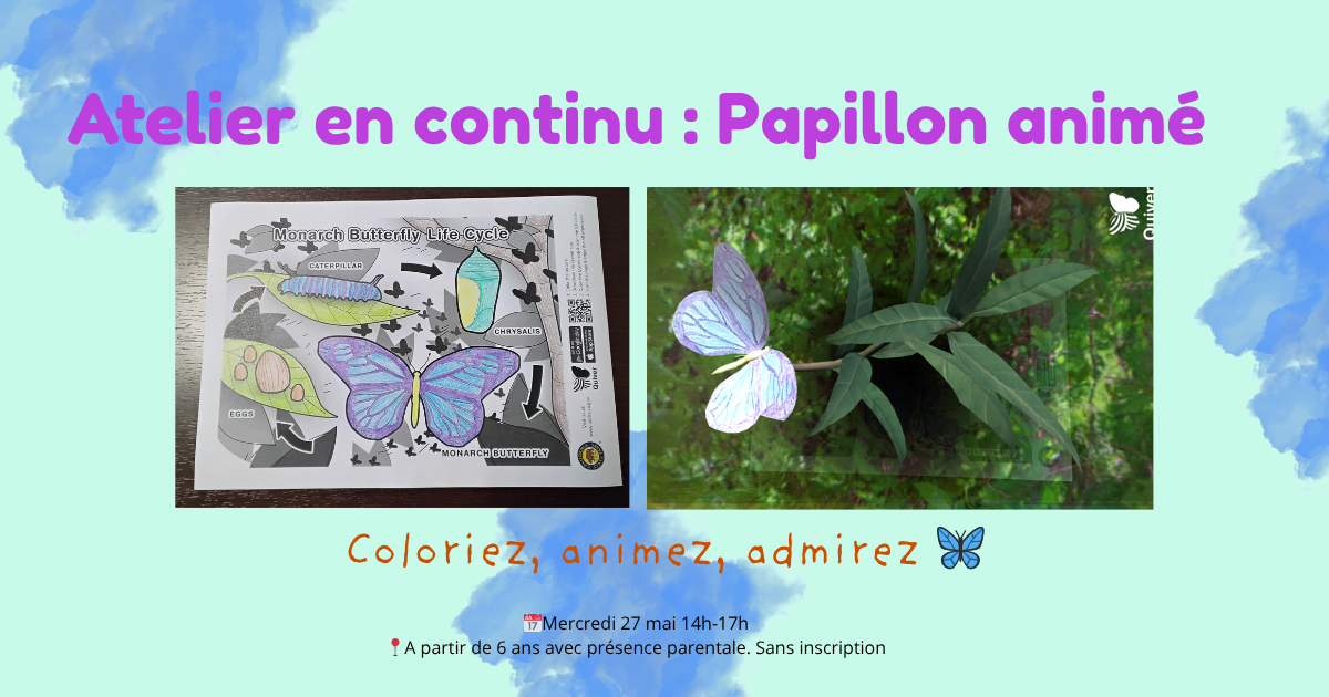Atelier en continu : papillon animé