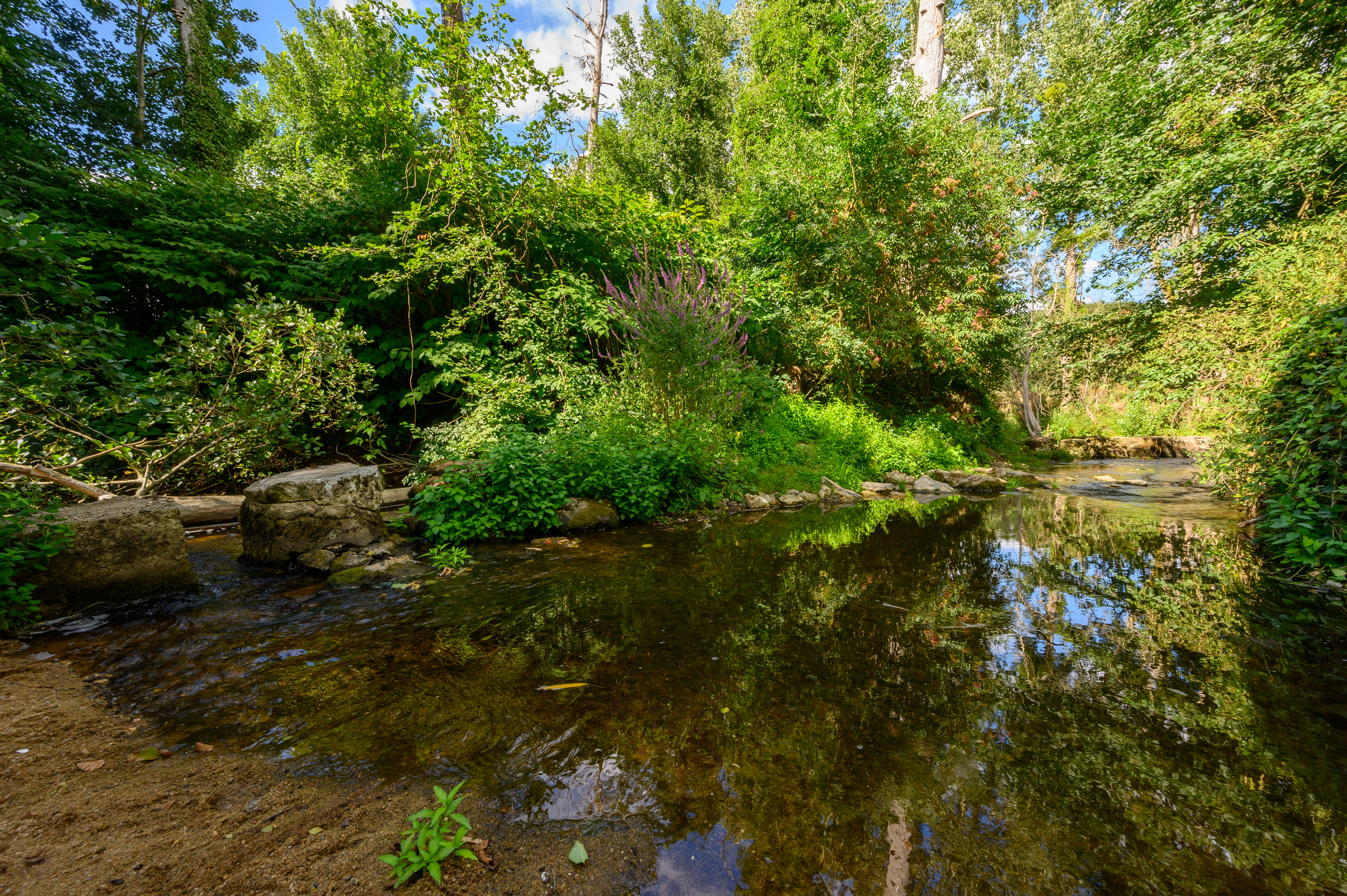 Balade nature à Thollet