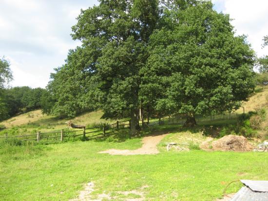 Camping du Moulin de Fumailles - photo 2