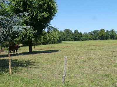 Gîte de La Loge, Moncoutant-sur-Sèvre - photo 4