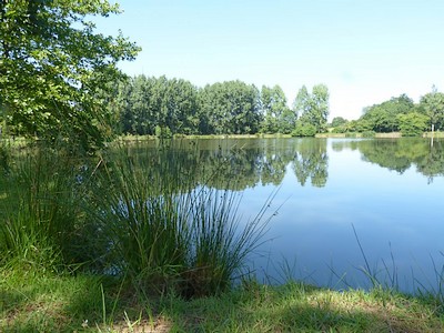 Gîte de La Loge, Moncoutant-sur-Sèvre - photo 5