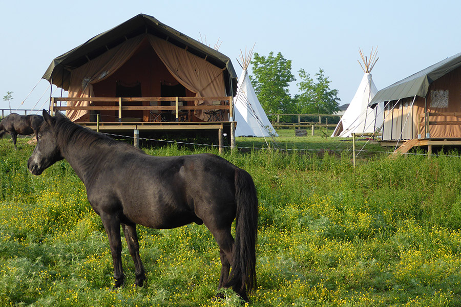 Les Ecuries du Châtelier - photo 4