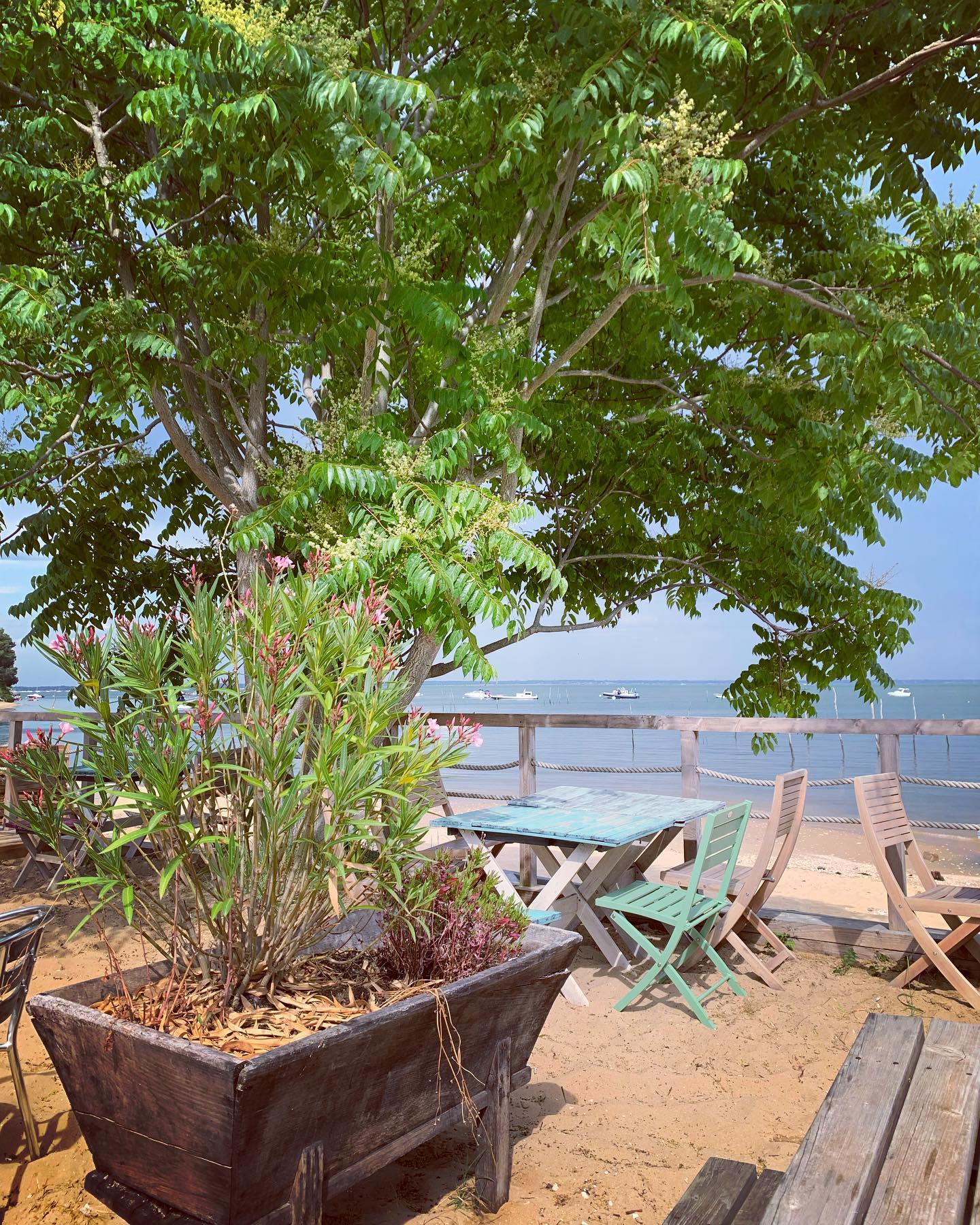 Les Vedettes - photo 4