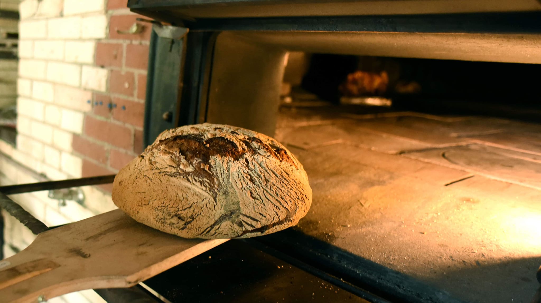 Le Barp : boucle du quartier Haureuils, Le Barp - photo 7