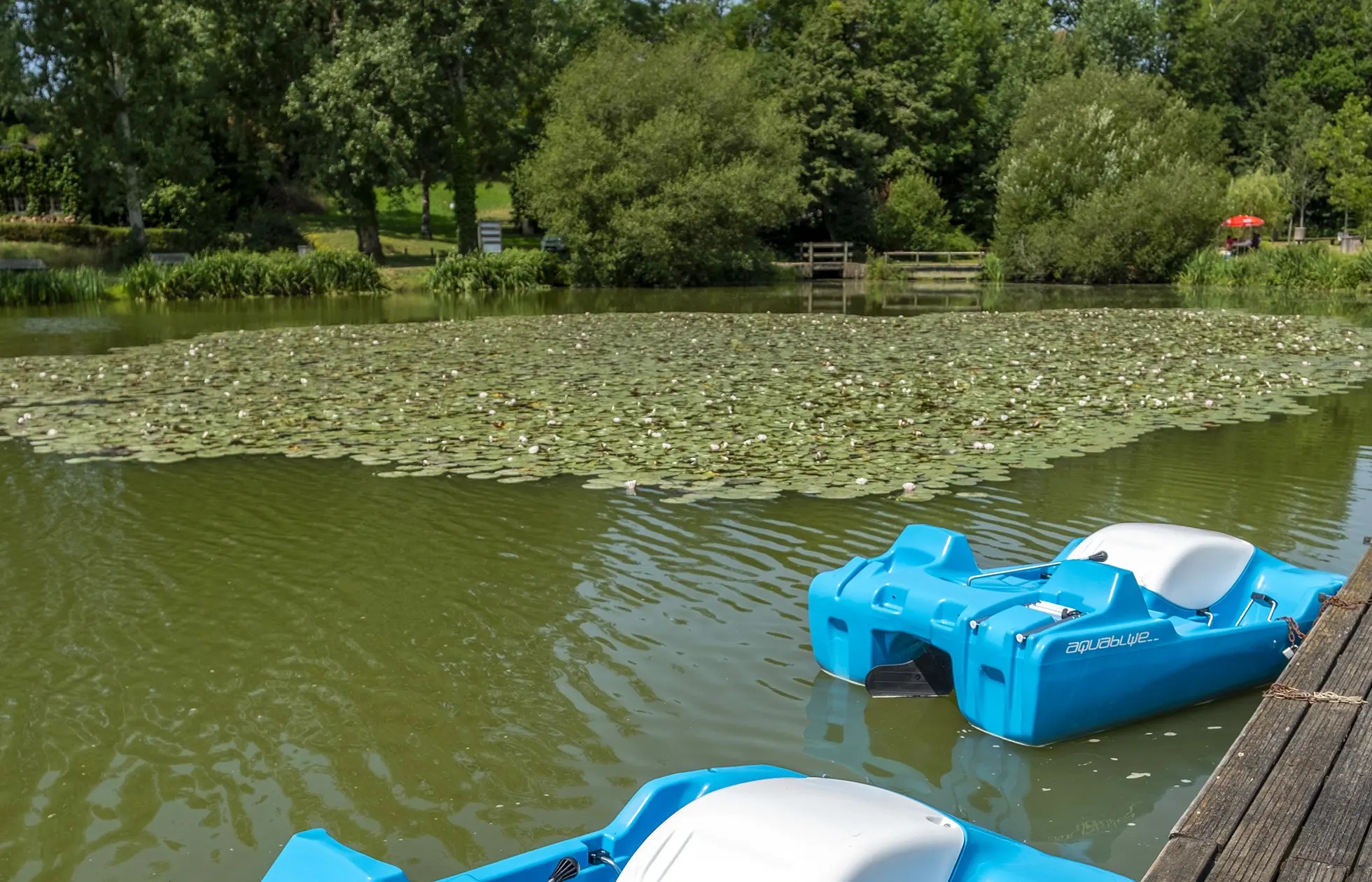 Flower Camping Côté Lac - photo 5