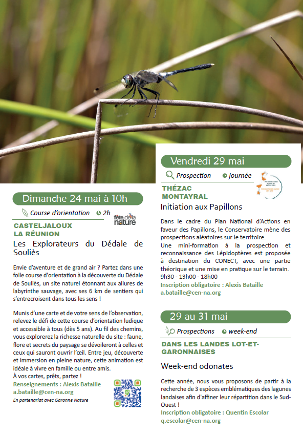 Initiation aux Papillons — visuel événement