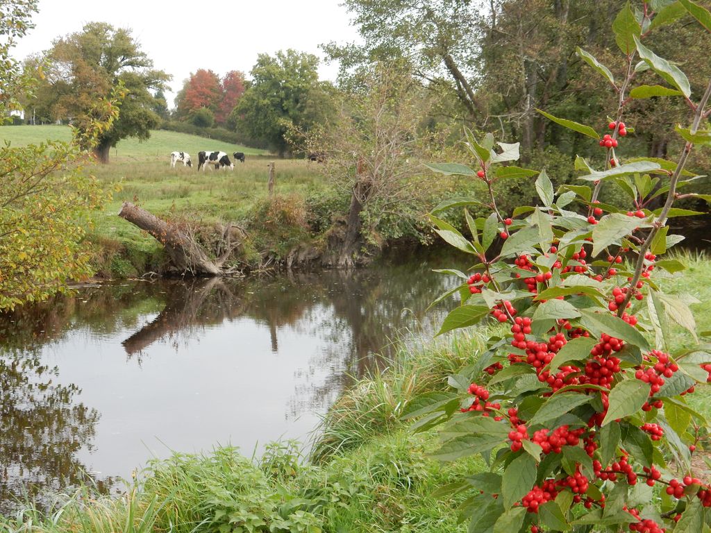 "Les Pieds dans l'Eau " Grande capacité - 15 personnes, Le Grand-Bourg - photo 7