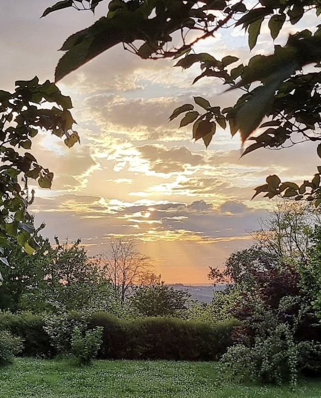 Le Clos des Mésanges, Montastruc - photo 18