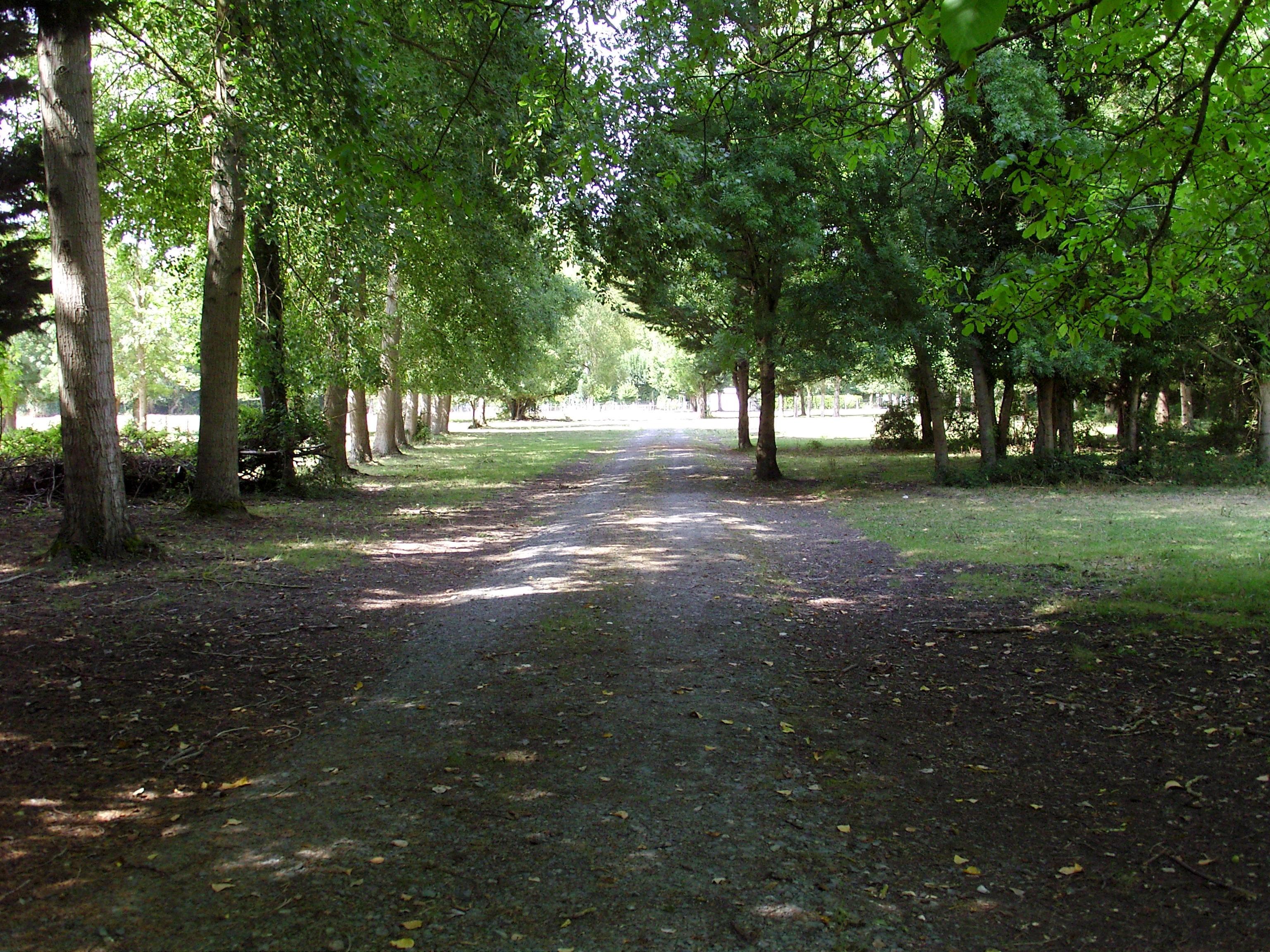 Gîte Le Refuge - Le Hameau de Sainte-Mégrine - photo 5