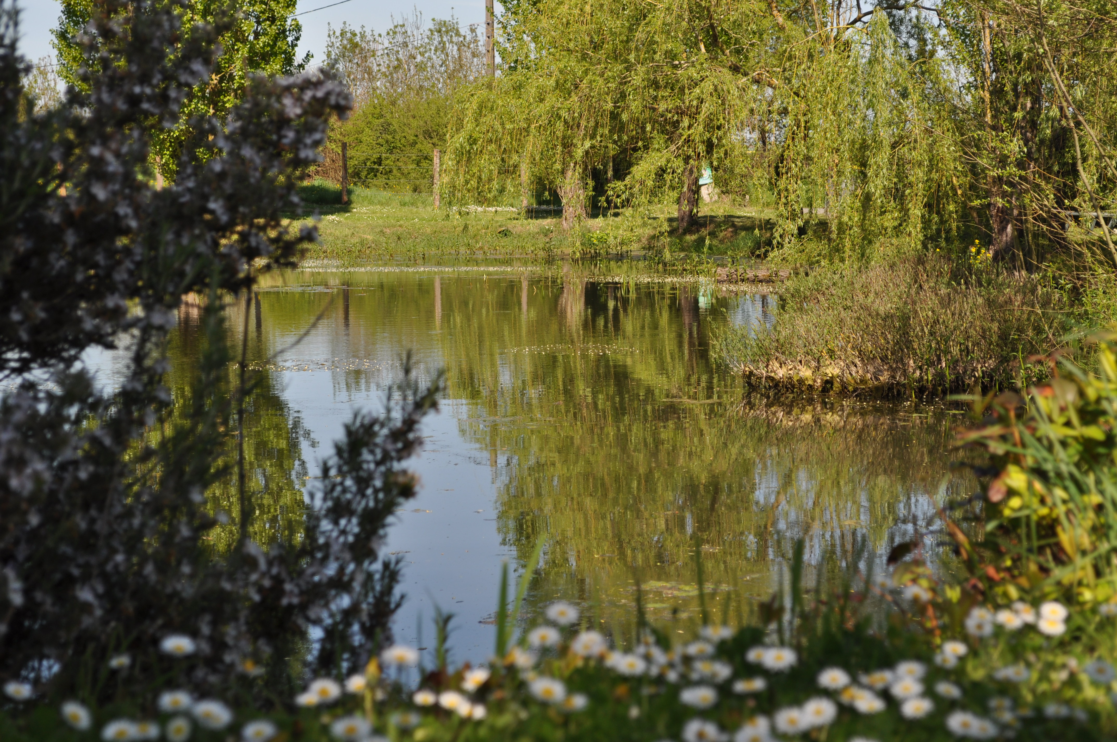 "Le Petit Gîte" - Le Hameau de Sainte-Mégrine, Coulon - photo 3