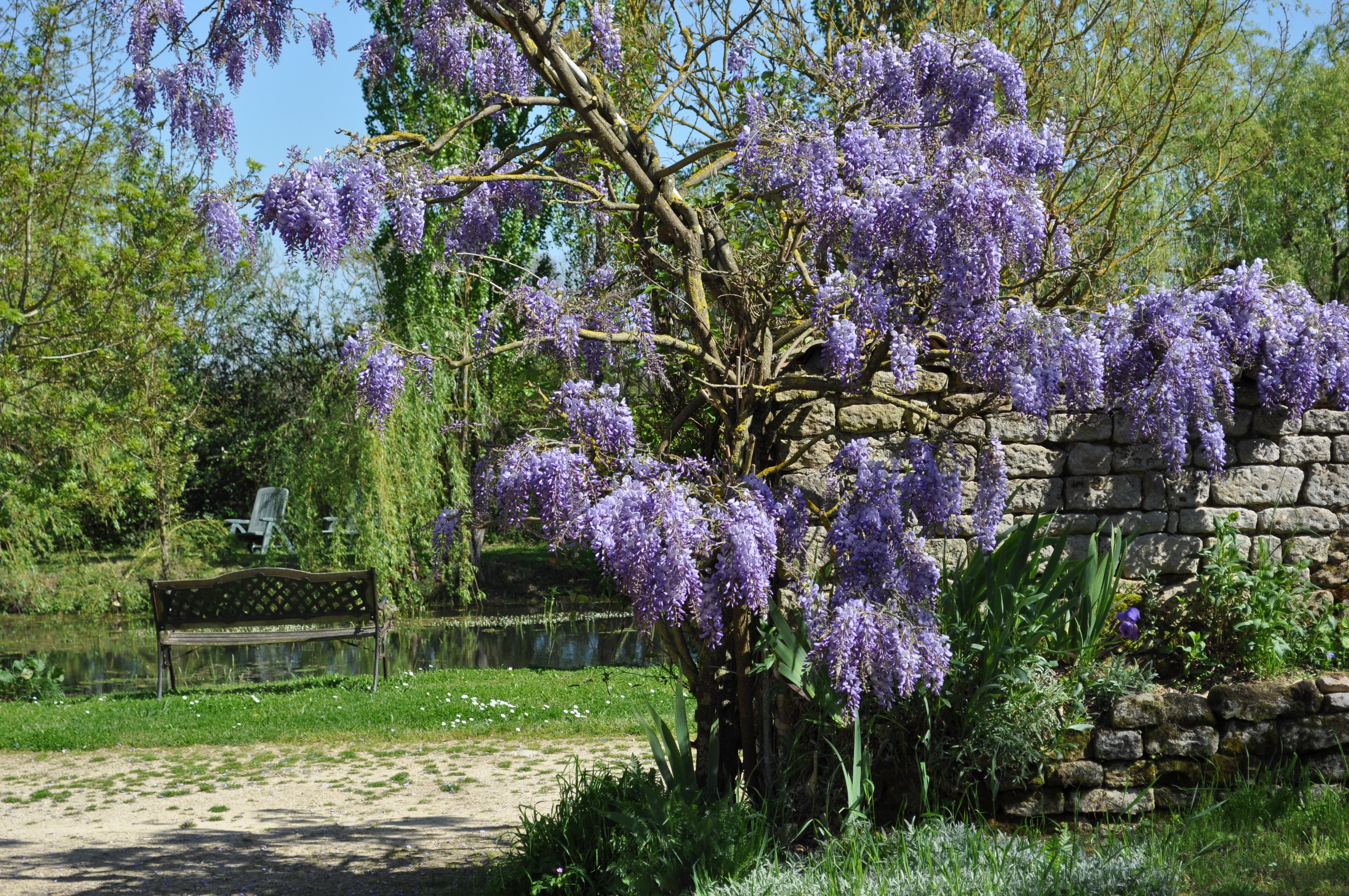 "Le Petit Gîte" - Le Hameau de Sainte-Mégrine - photo 4
