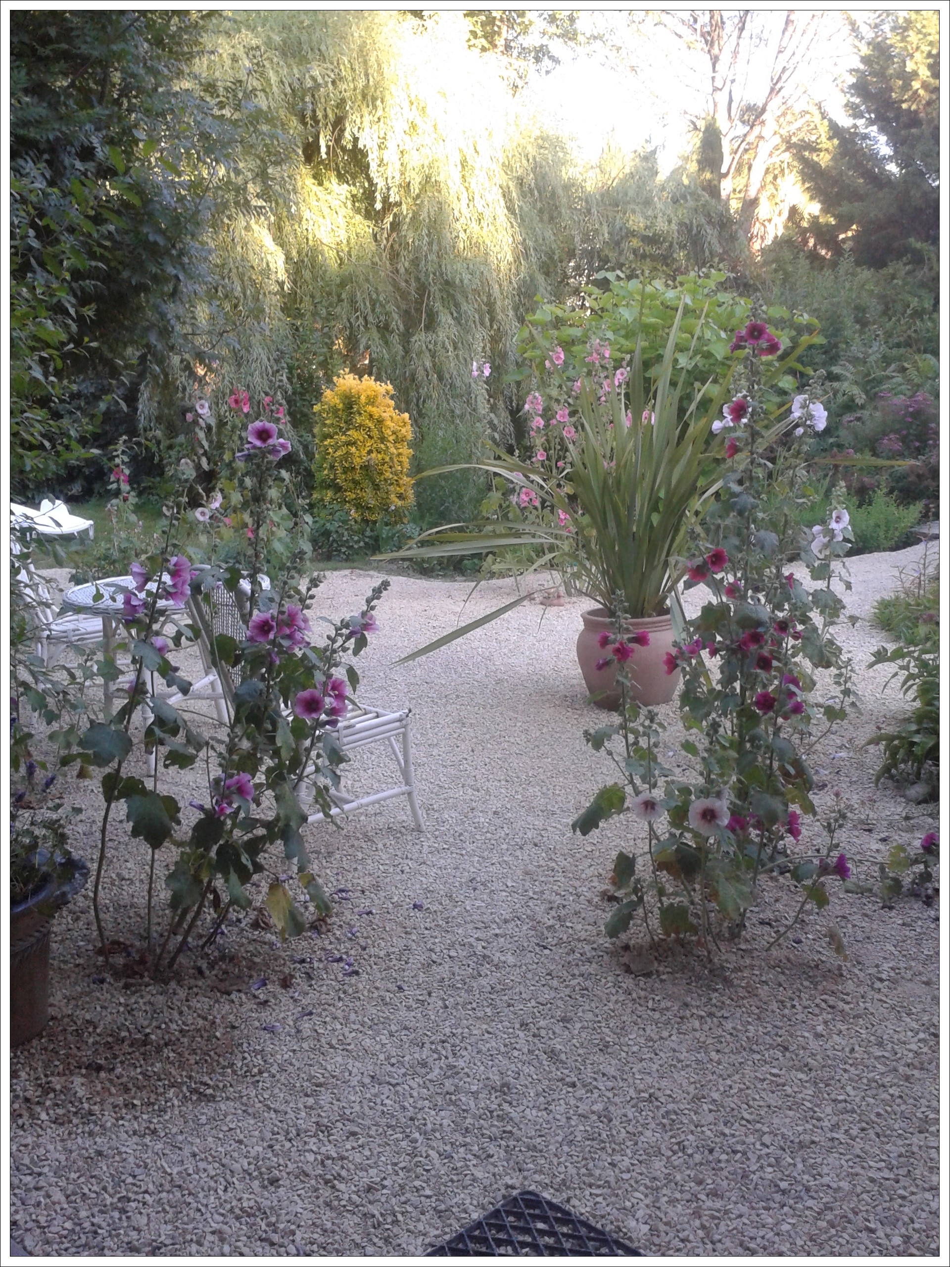 La Moulinotte (n° 2930), Villiers-en-Plaine - photo 9