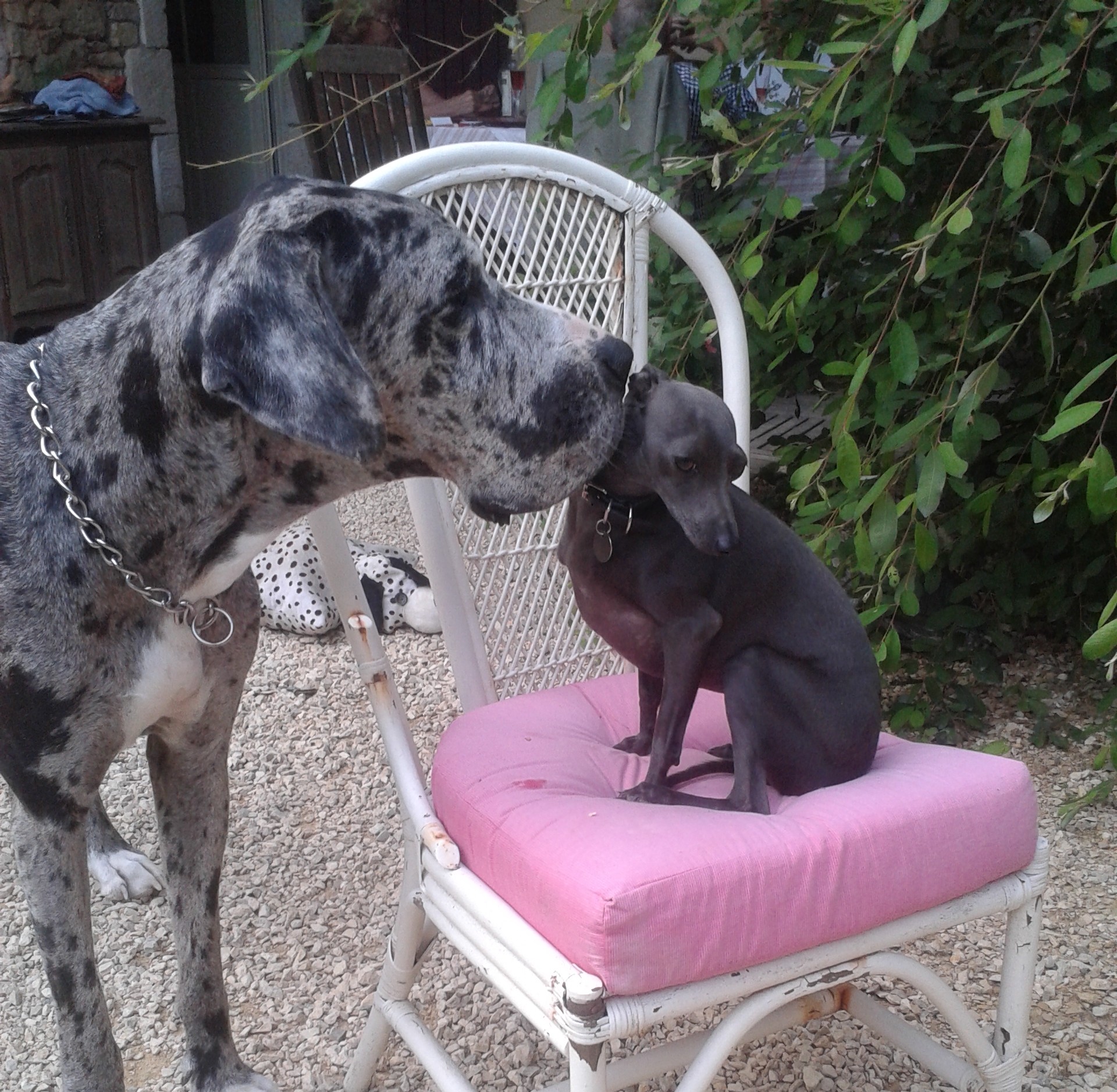 La Moulinotte (n° 2930), Villiers-en-Plaine - photo 4