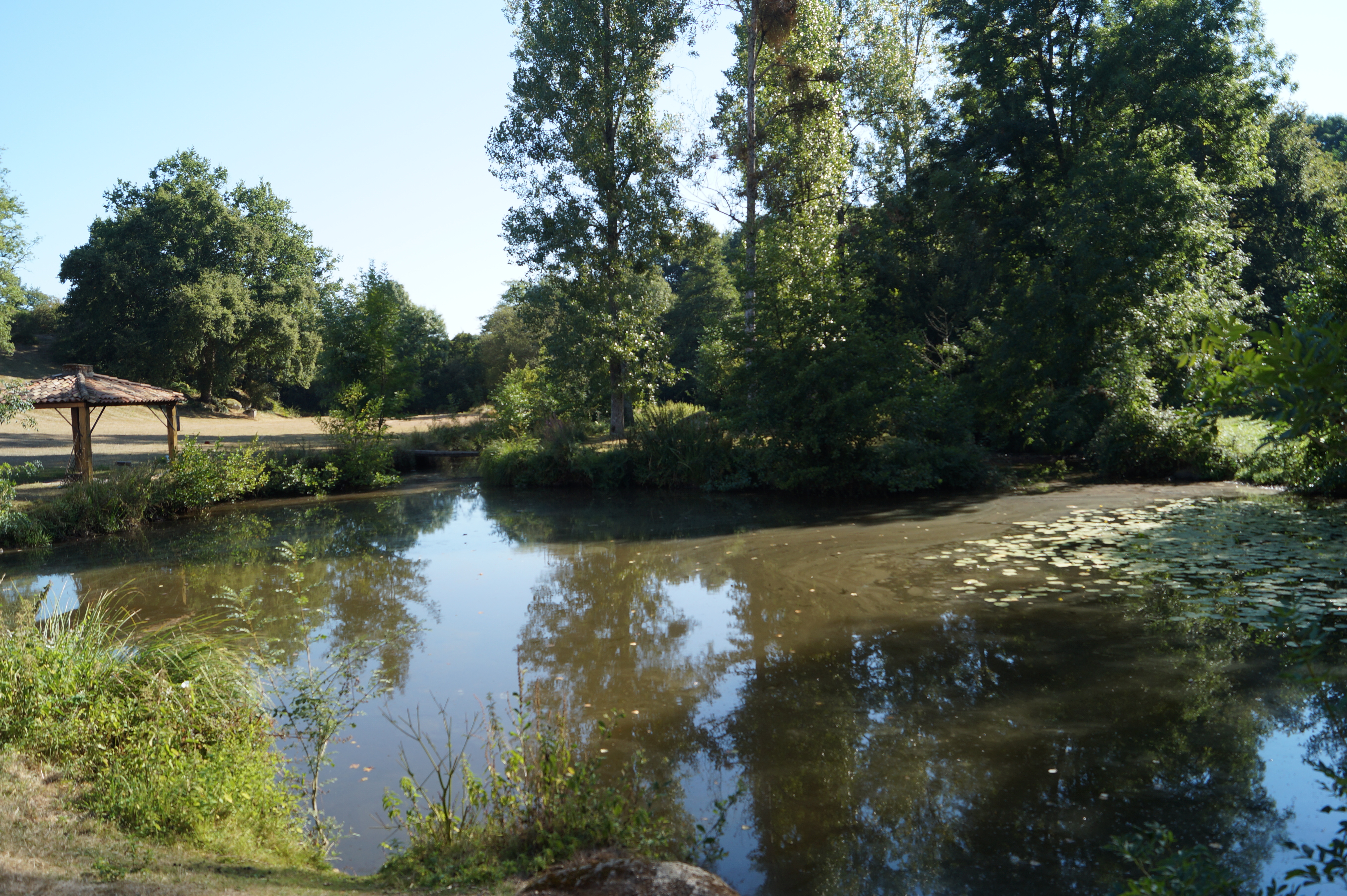 Gîte du Moulin Neuf, Ménigoute
