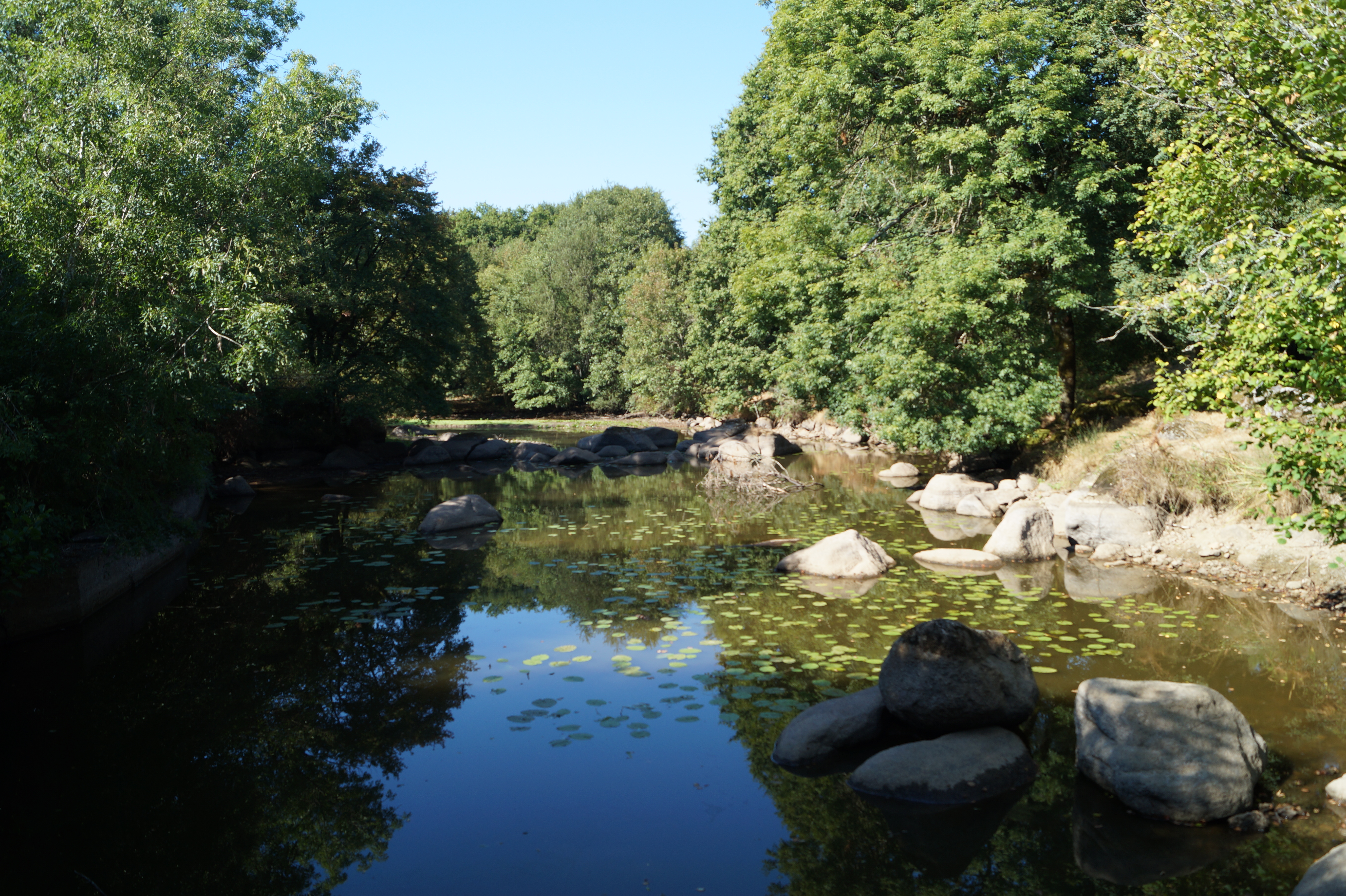 Gîte du Moulin Neuf, Ménigoute - photo 2