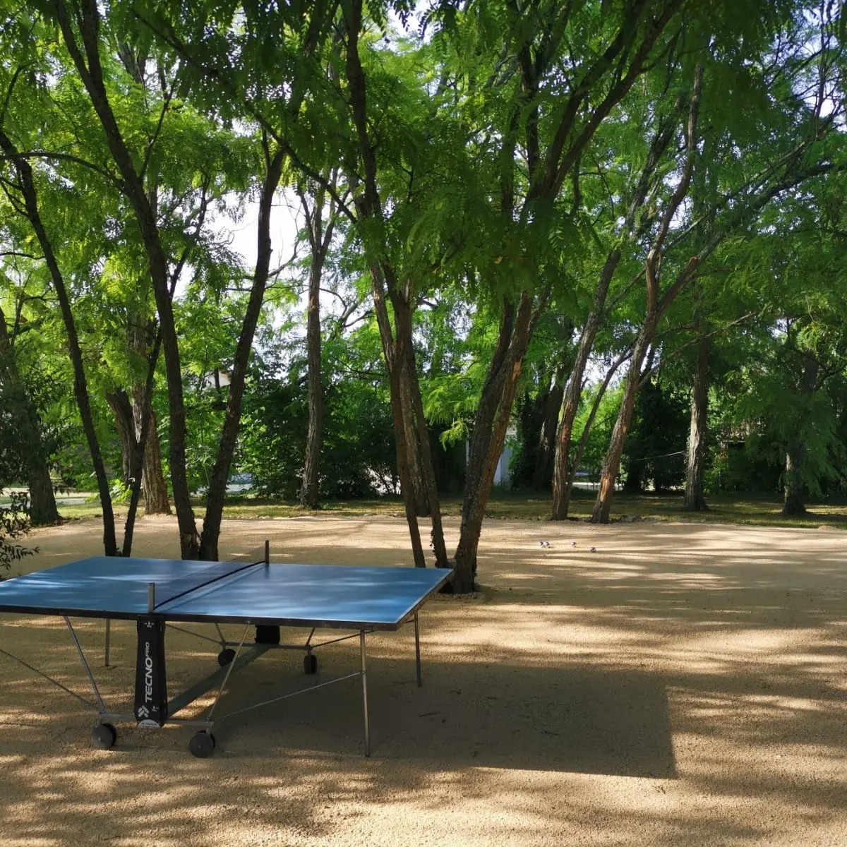 Gîte des Oliviers, Sainte-Livrade-sur-Lot - photo 12