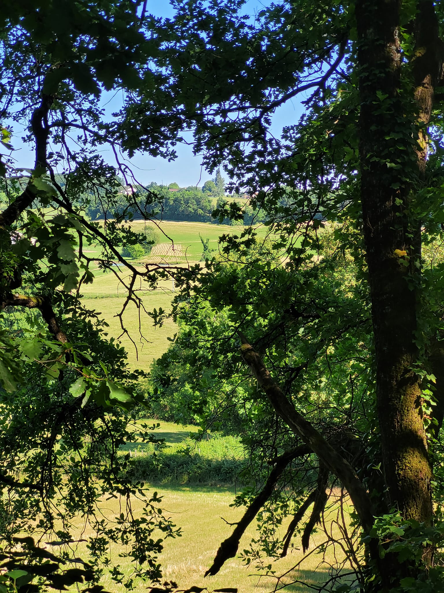 Le Pinqua, Agnac - photo 6