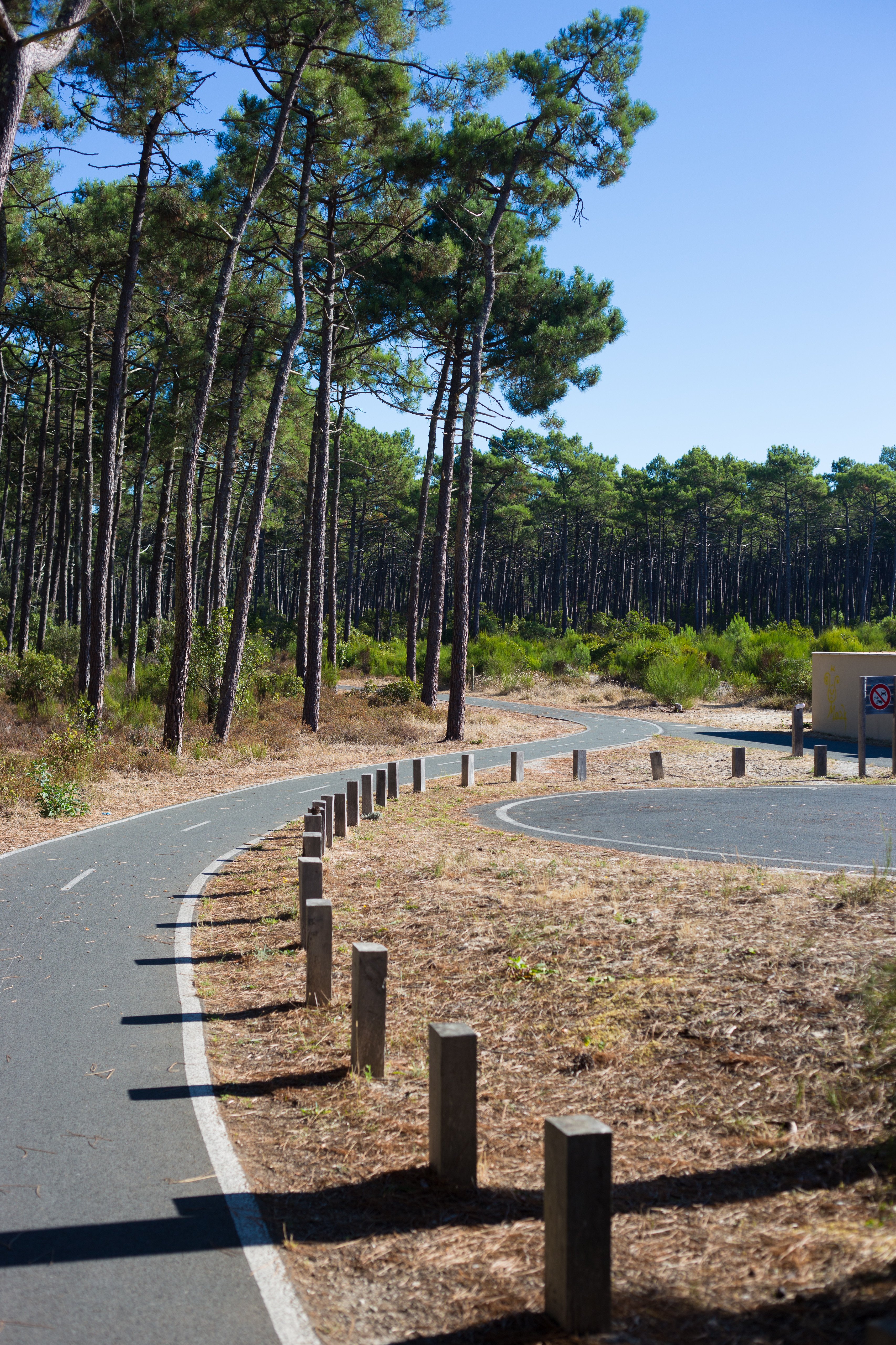 De Bordeaux à Lacanau à vélo - De la ville à la plage — photo 2