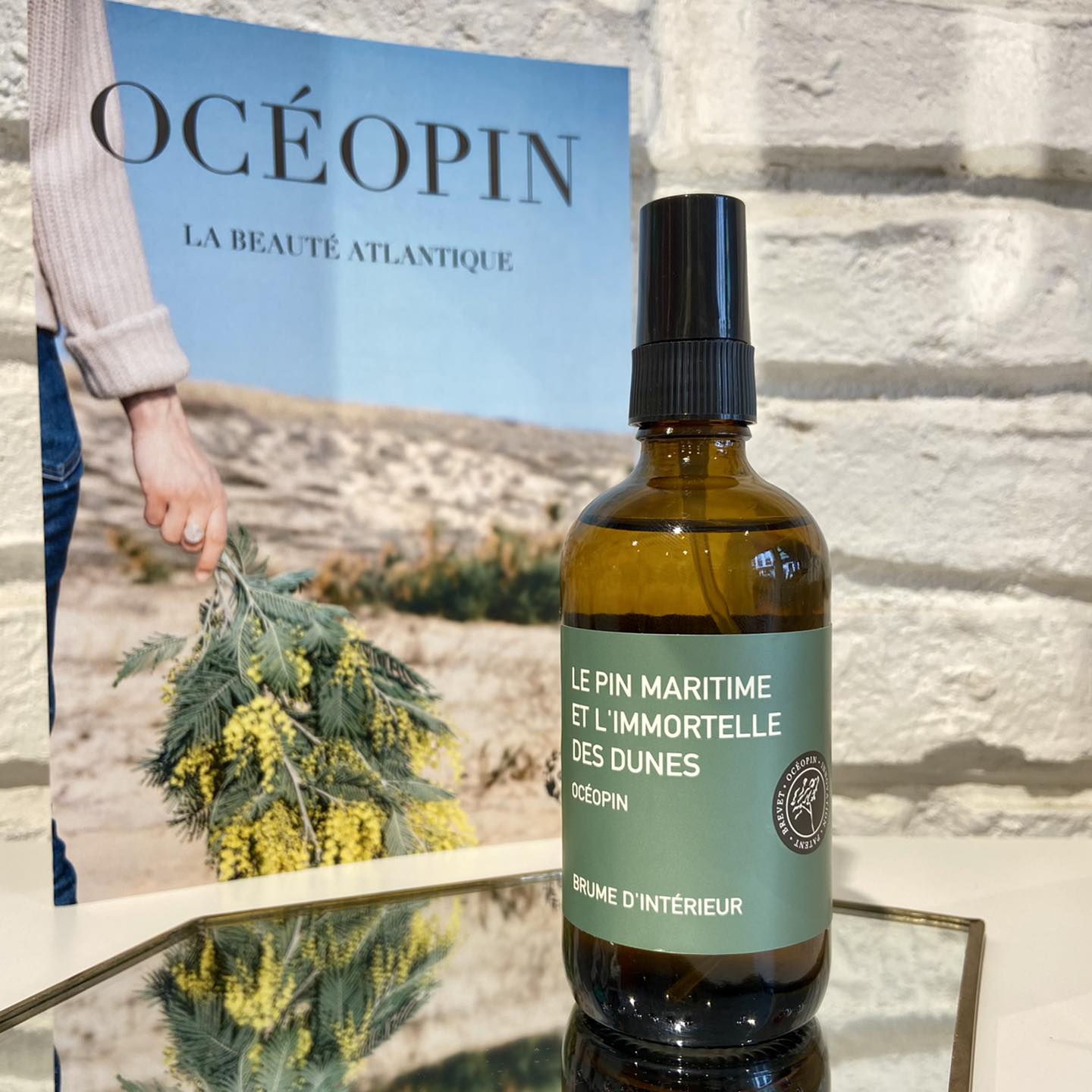 Océopin — photo 3