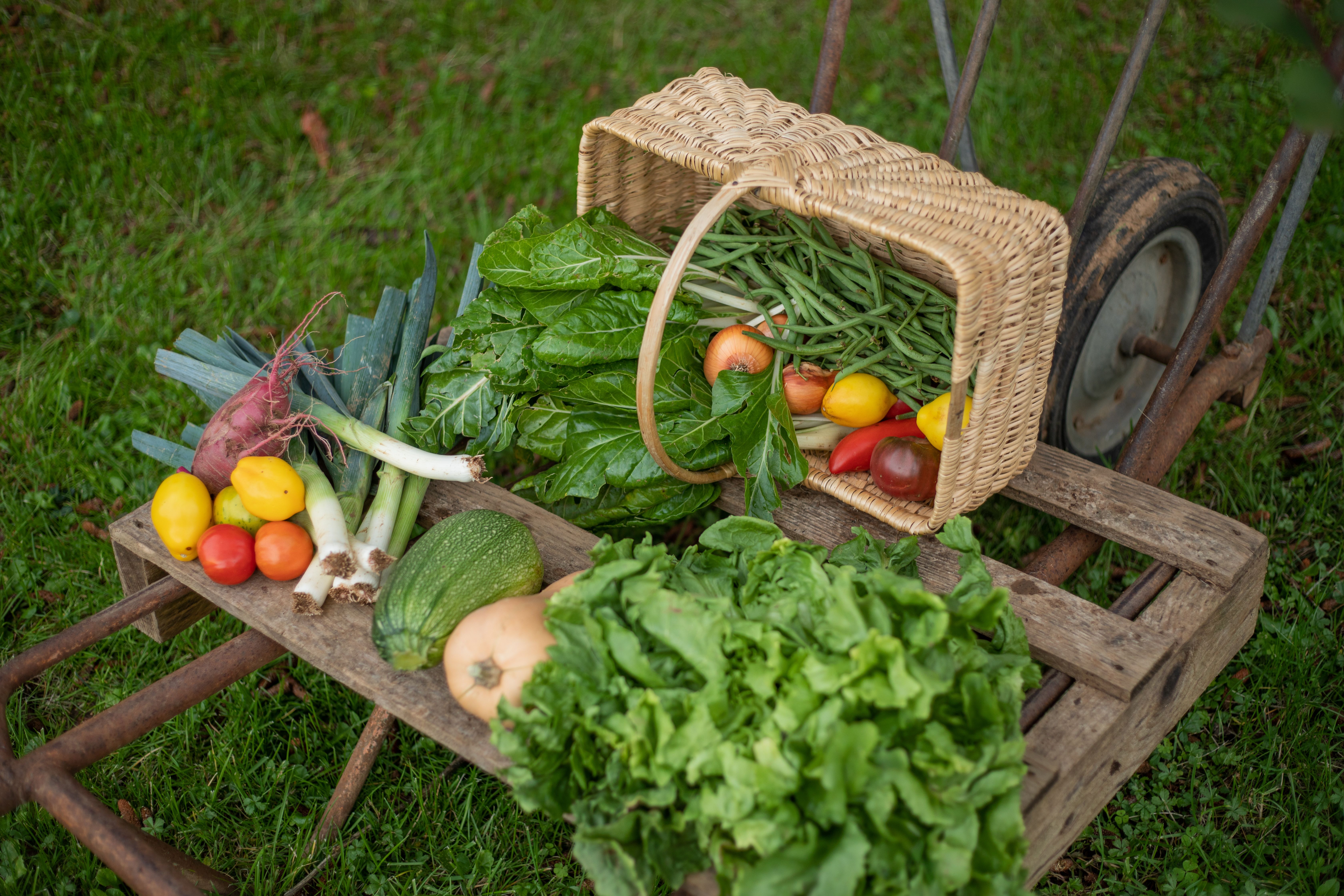 Marché des Producteurs de Pays à Cherveux — visuel événement