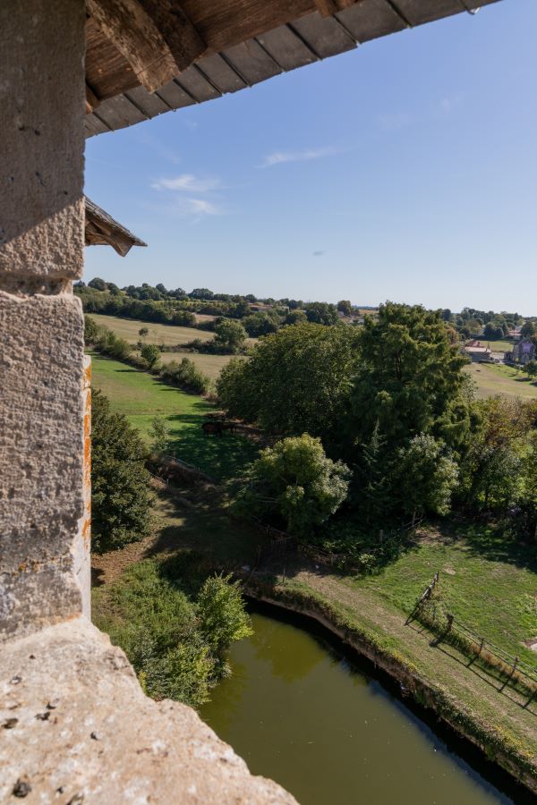 Château de Cherveux, Cherveux - photo 2
