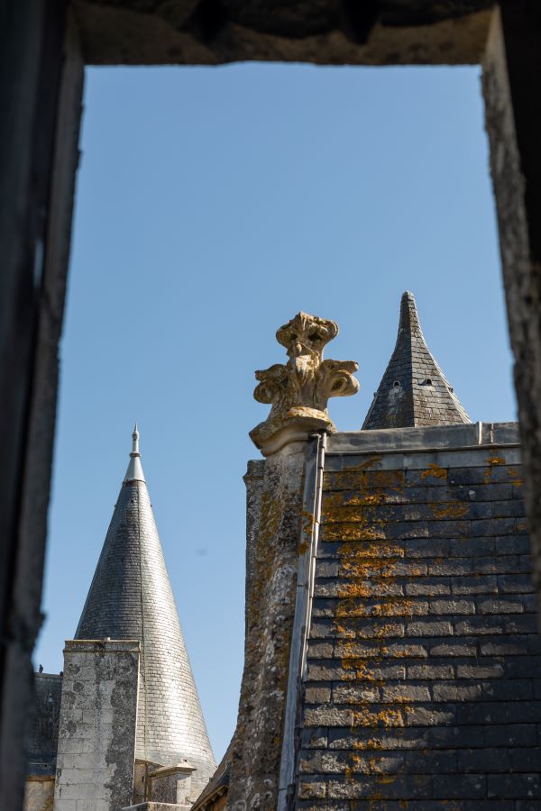 Château de Cherveux, Cherveux - photo 9