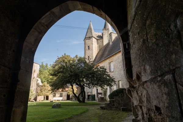 Château de Cherveux, Cherveux - photo 6
