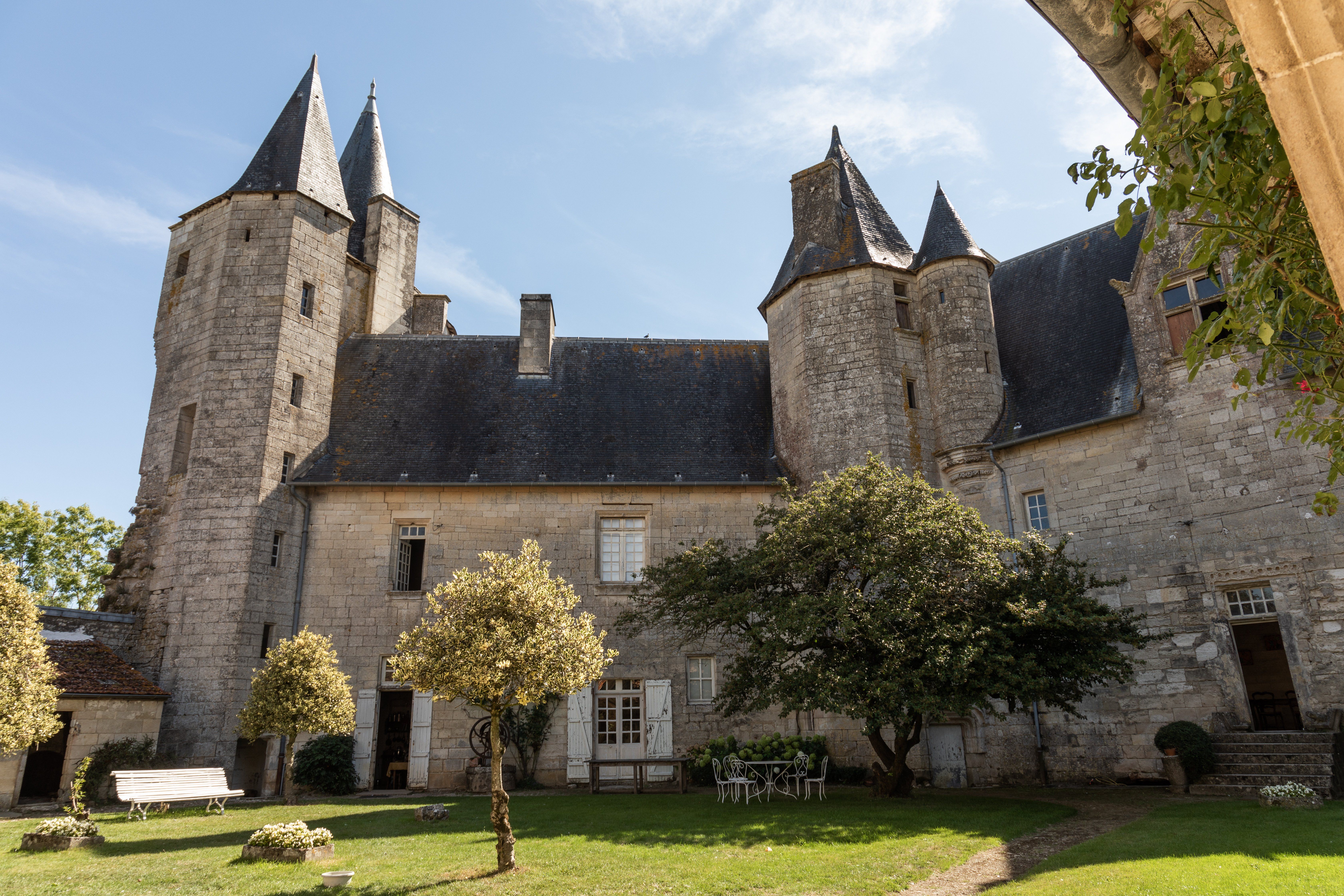 Château de Cherveux, Cherveux - photo 7