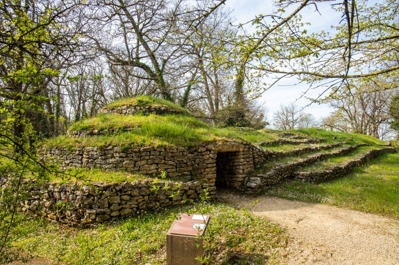 Autour des Tumulus, Bougon - photo 2