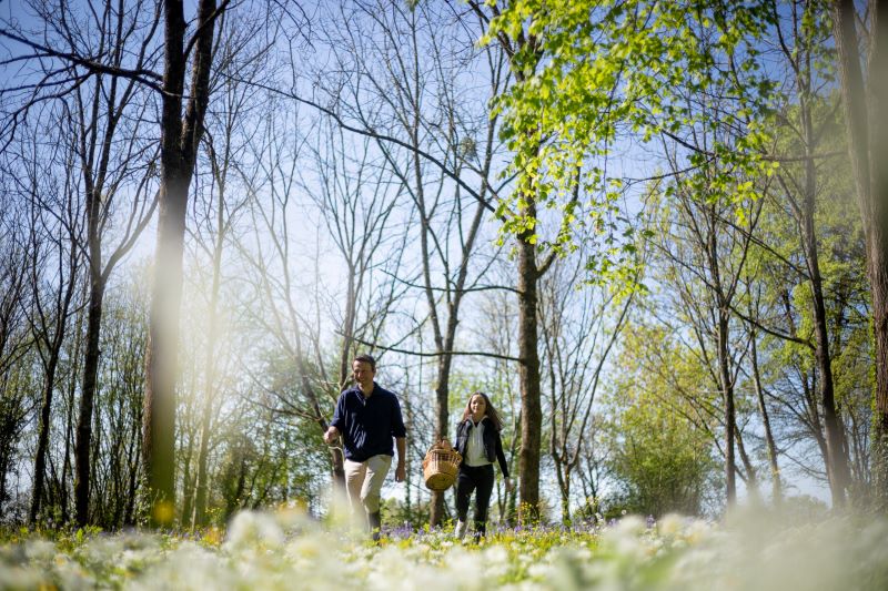 Logis de la Roche Cantin - Chambre "Années 30", Cherveux