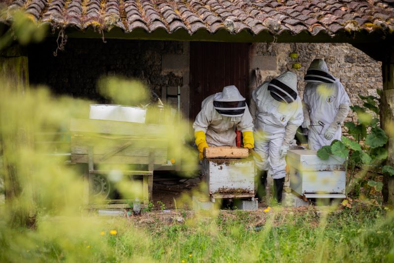 Ancien prieuré Saint-Barthélémy, Azay-le-Brûlé - photo 5