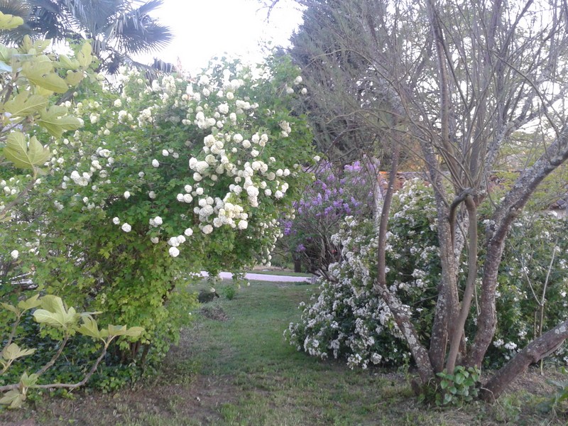 Le Logis du Pradet, Moncrabeau - photo 2