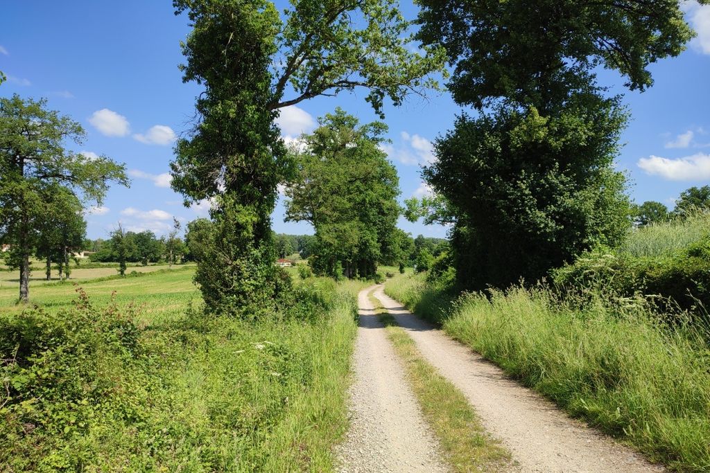 Circuit VTT n°1 De Saint-Paul à la Geneytouse, Saint-Paul