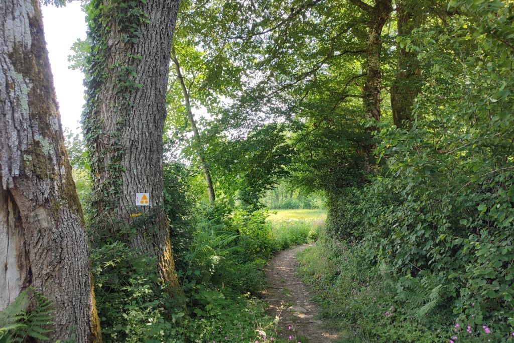 Circuit VTT n°1 De Saint-Paul à la Geneytouse, Saint-Paul - photo 2