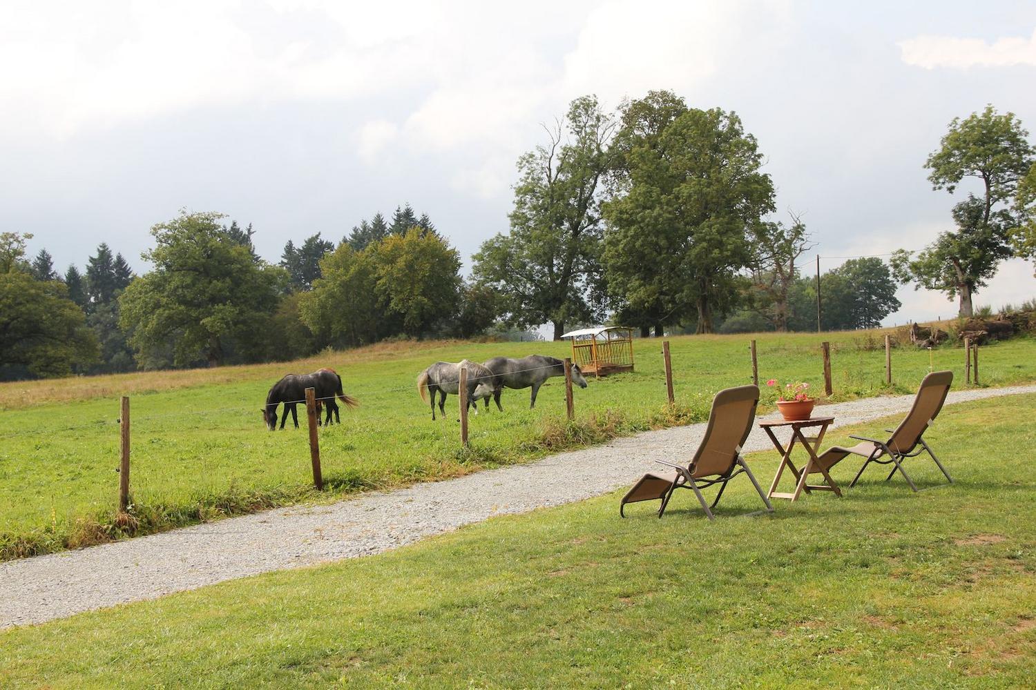 LA SELLERIE, Peyrat-la-Nonière - photo 10