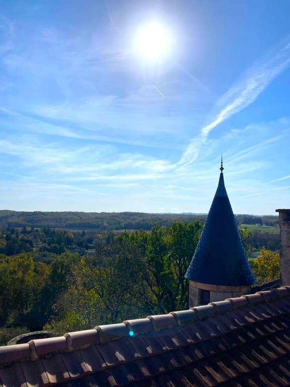 Atelier Self Care, Gua Sha & Auto-Massage - Châteaux en fête - photo 5