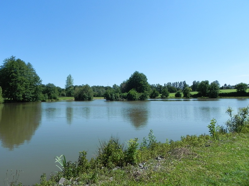Gites de l'Etang, Beaulieu-sous-Parthenay - photo 27