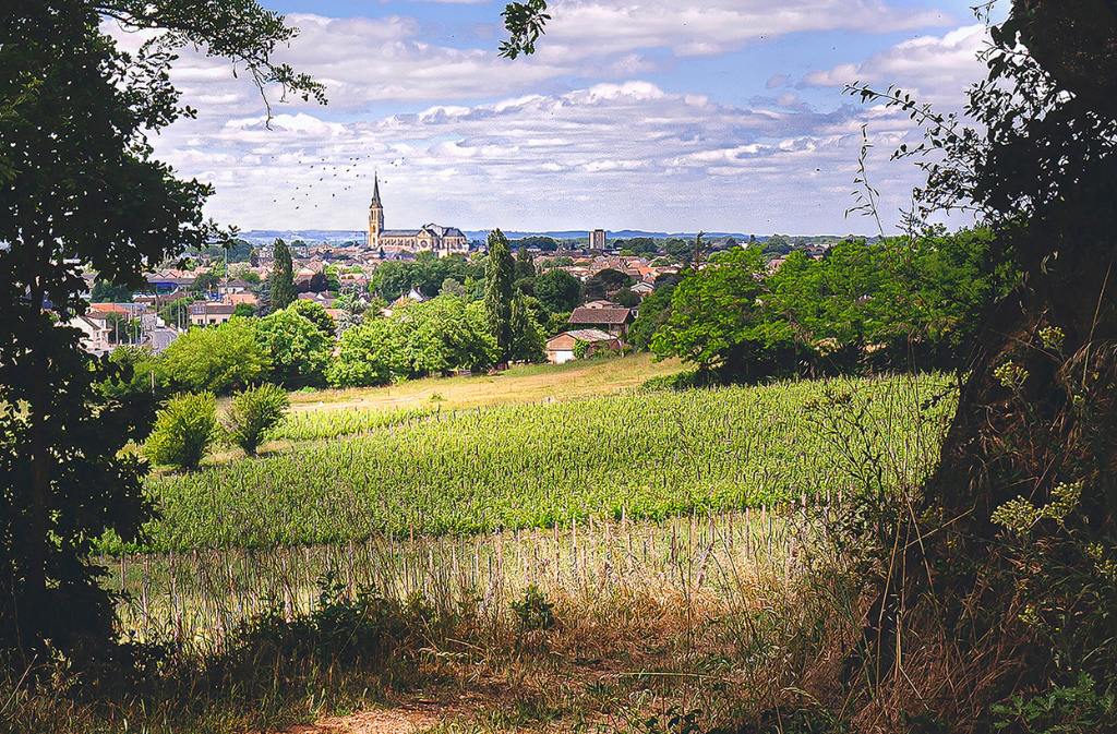 Domaine des Costes - photo 3