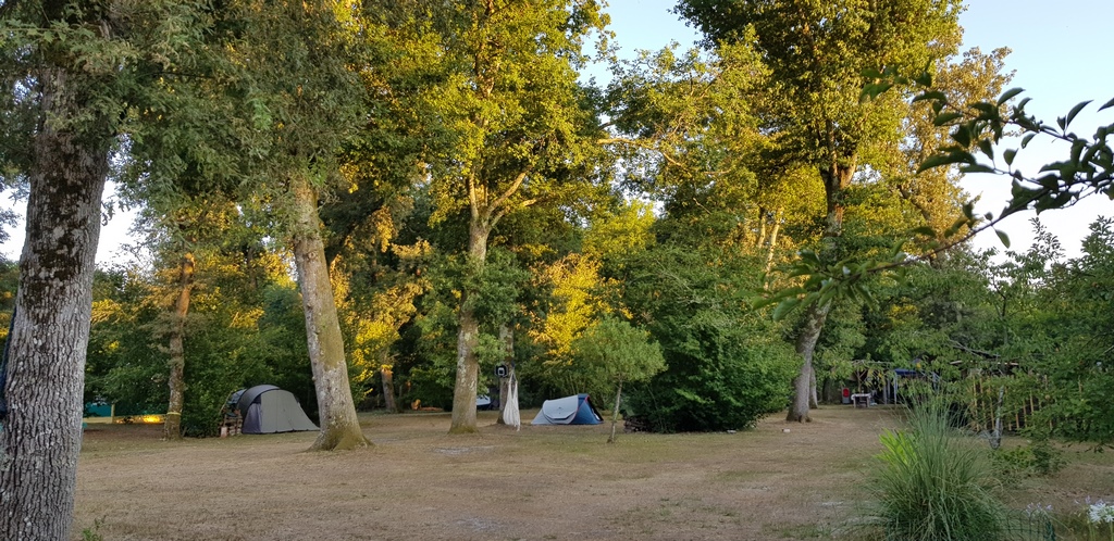 Camping Chez l'habitant - Aire Naturelle, Pontenx-les-Forges - photo 7