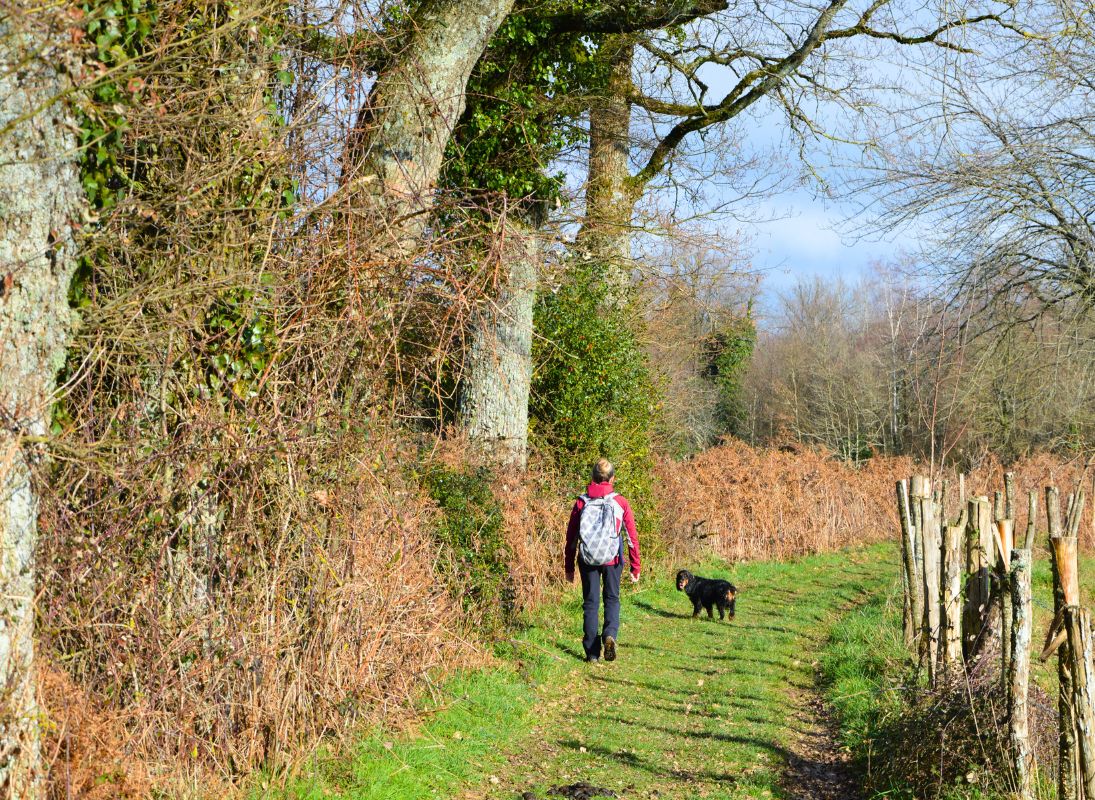 Circuit des fontaines et des étangs, Flavignac