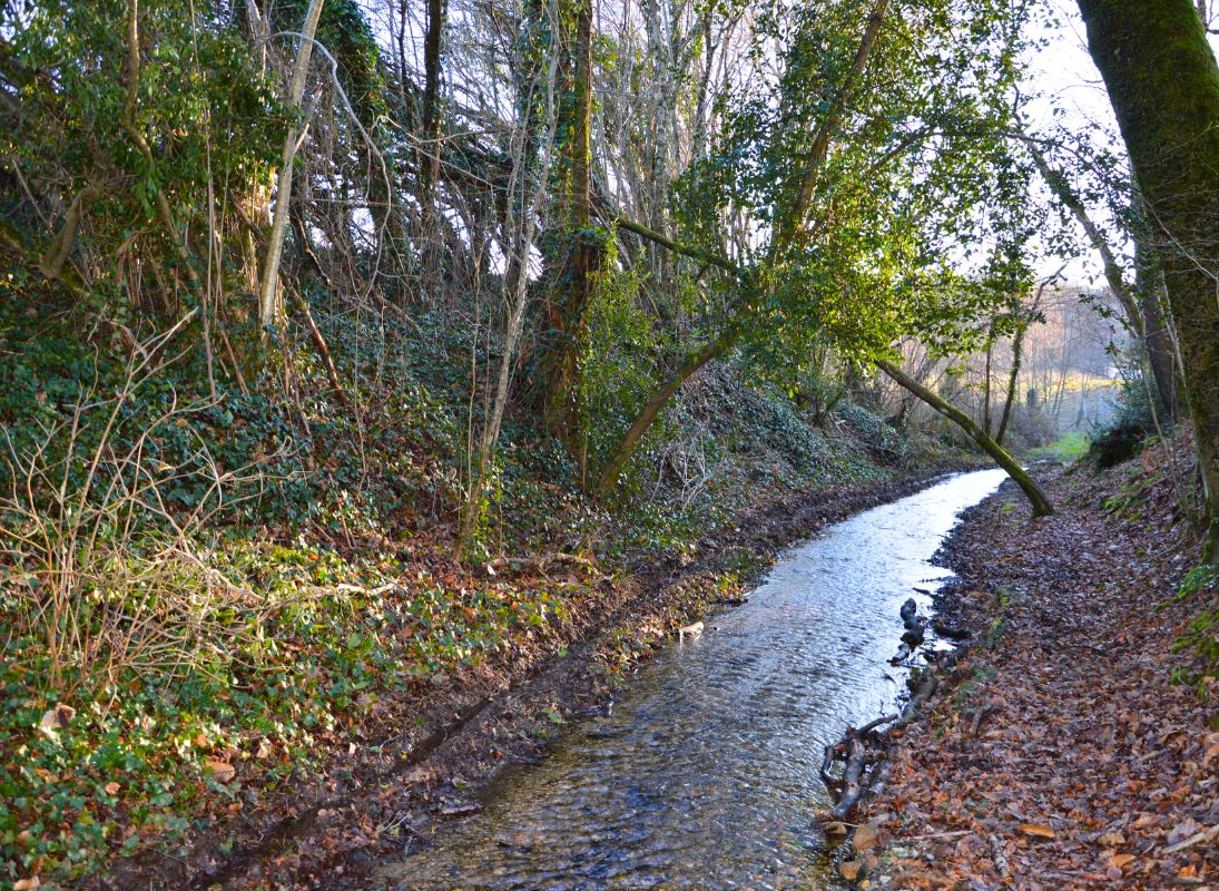 Chemin du Mas Nadaud, Pageas - photo 3