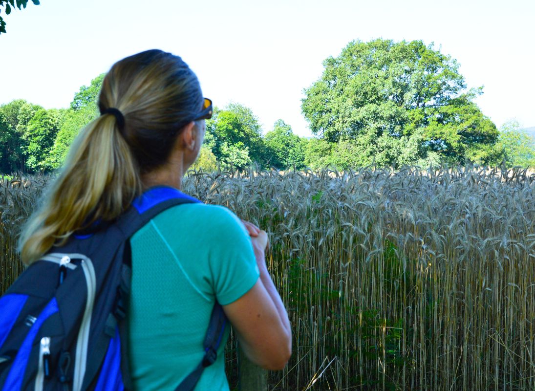 Circuit du Moulichou, Châlus - photo 5