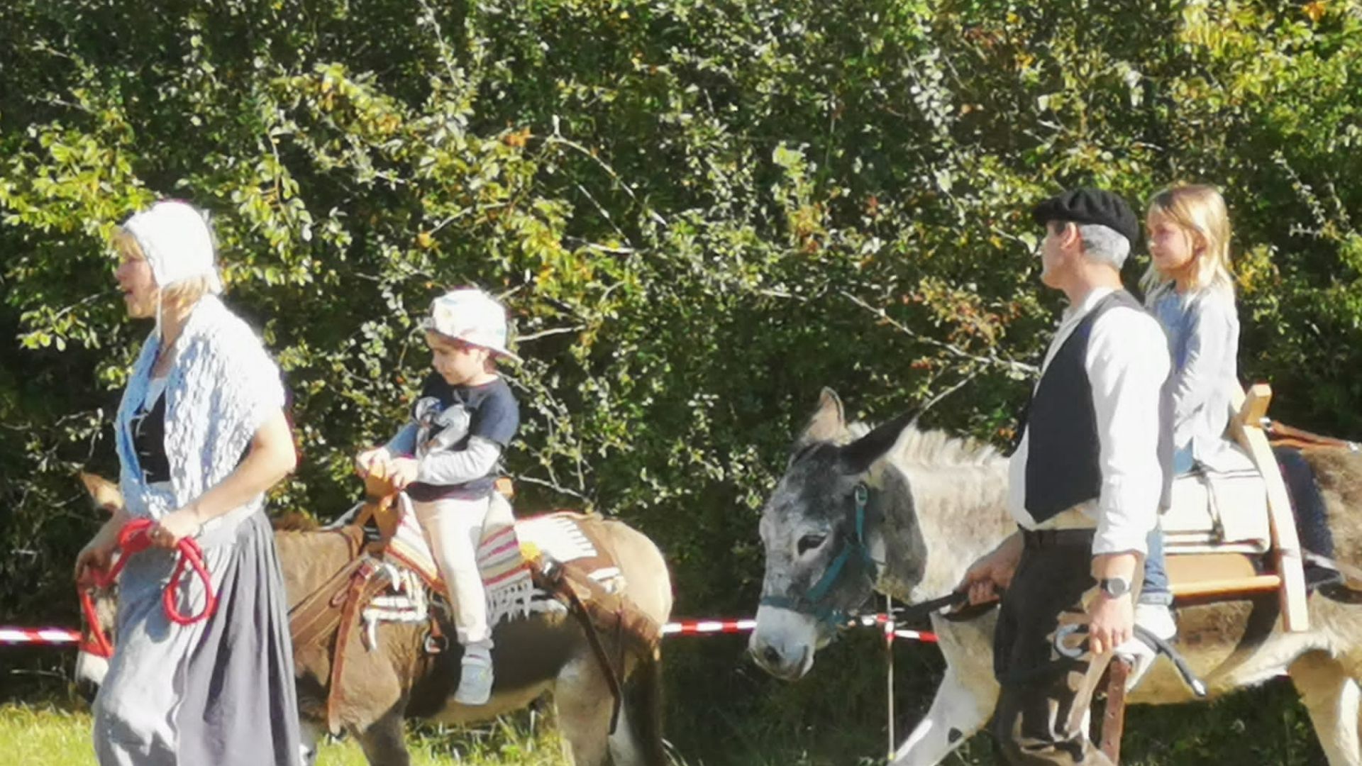 Association les petits ânes Vergt, Saint-Amand-de-Vergt - photo 5